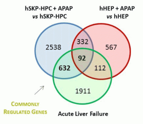chart acute liver failure