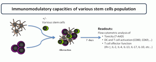immunomodulatoryc
